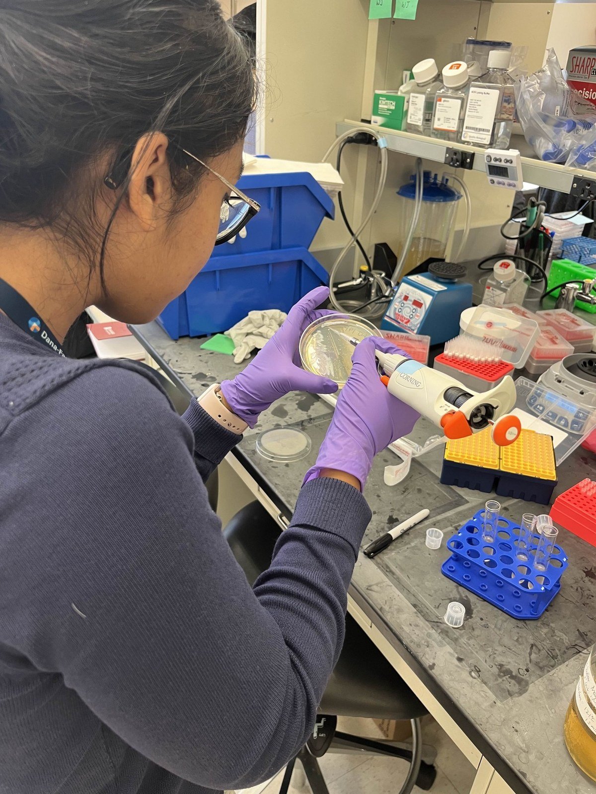 Researcher pipetting samples at a laboratory bench