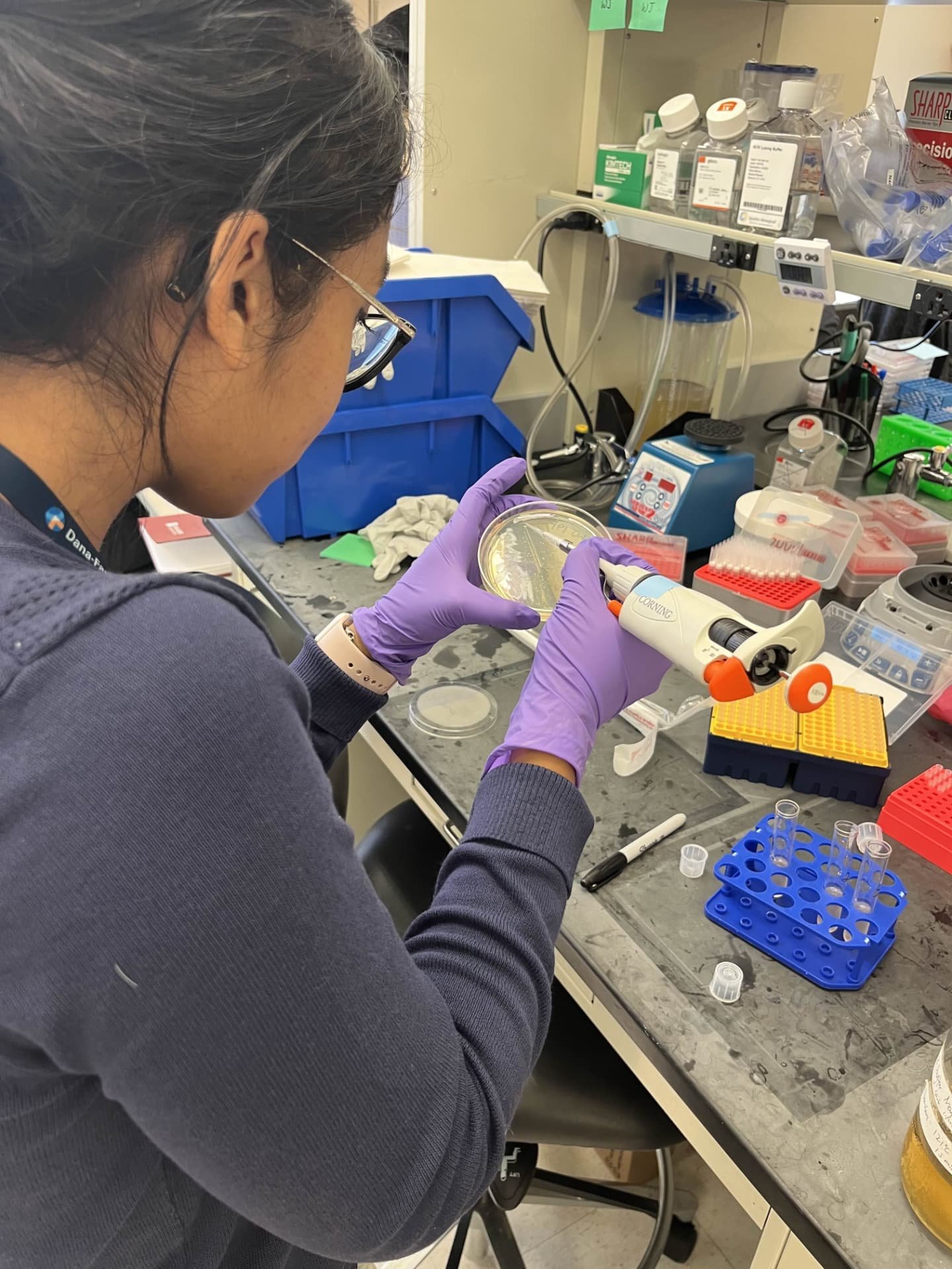 Ariana Rahman working in the lab at Dana-Farber Cancer Institute
