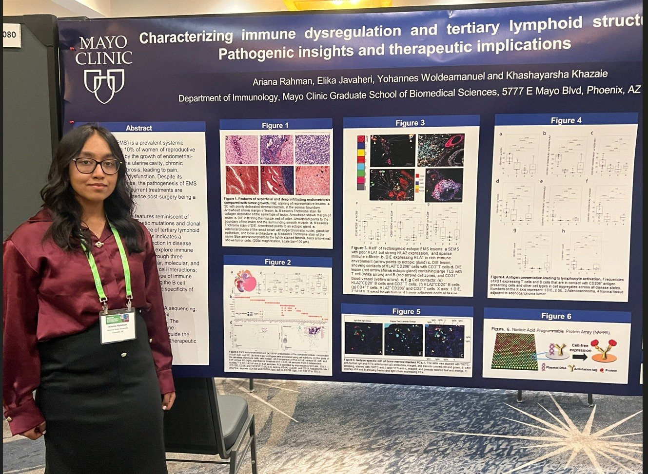 Ariana Rahman presenting Mayo Clinic research on immune dysregulation and tertiary lymphoid structures in endometriosis